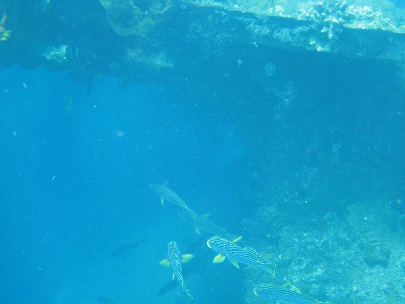 trip_bali 278 
